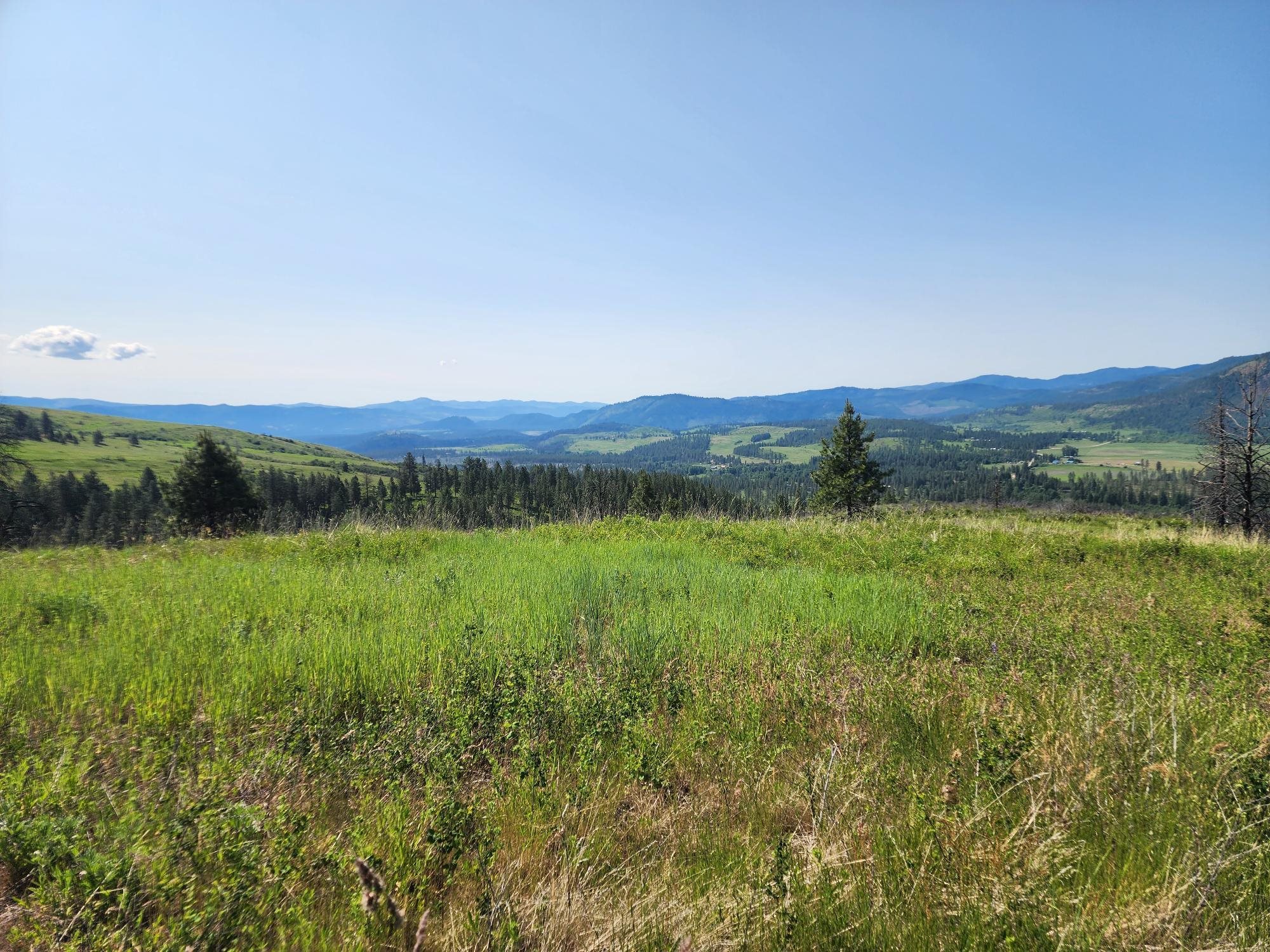 xxx Hall Creek Rd - Photo 11