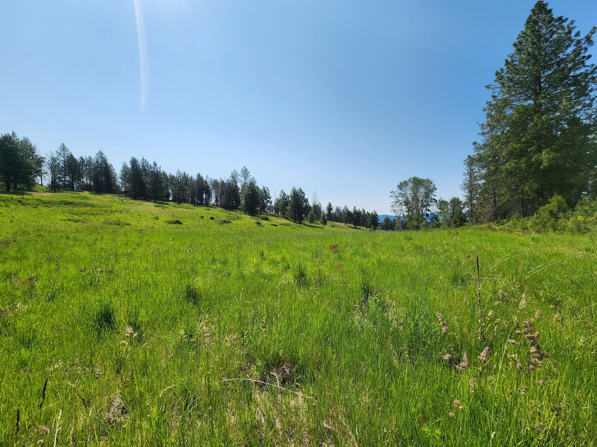xxx Hall Creek Rd - Photo 12