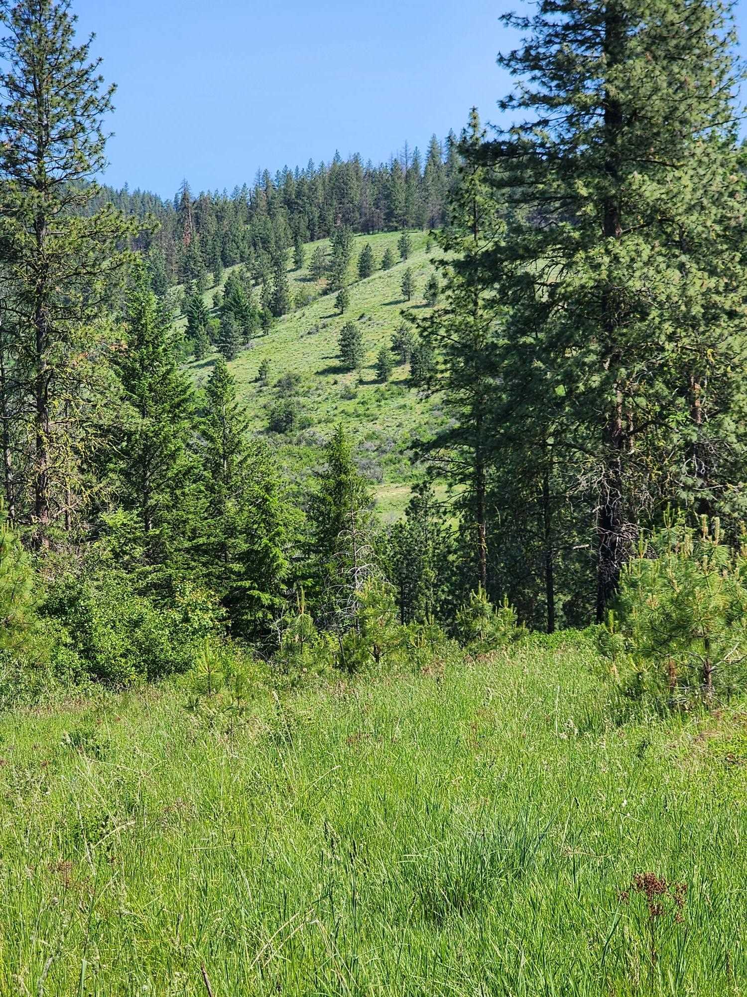 xxx Hall Creek Rd - Photo 13