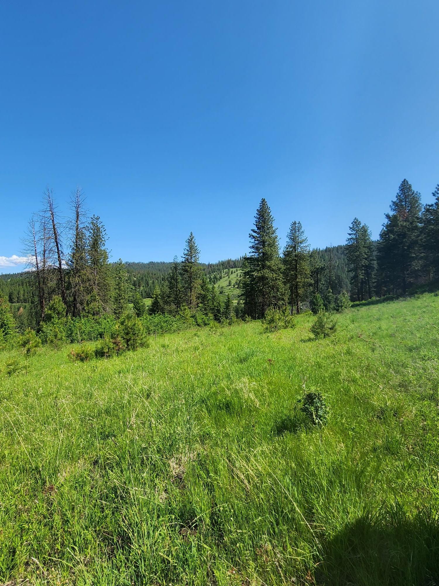 xxx Hall Creek Rd - Photo 14