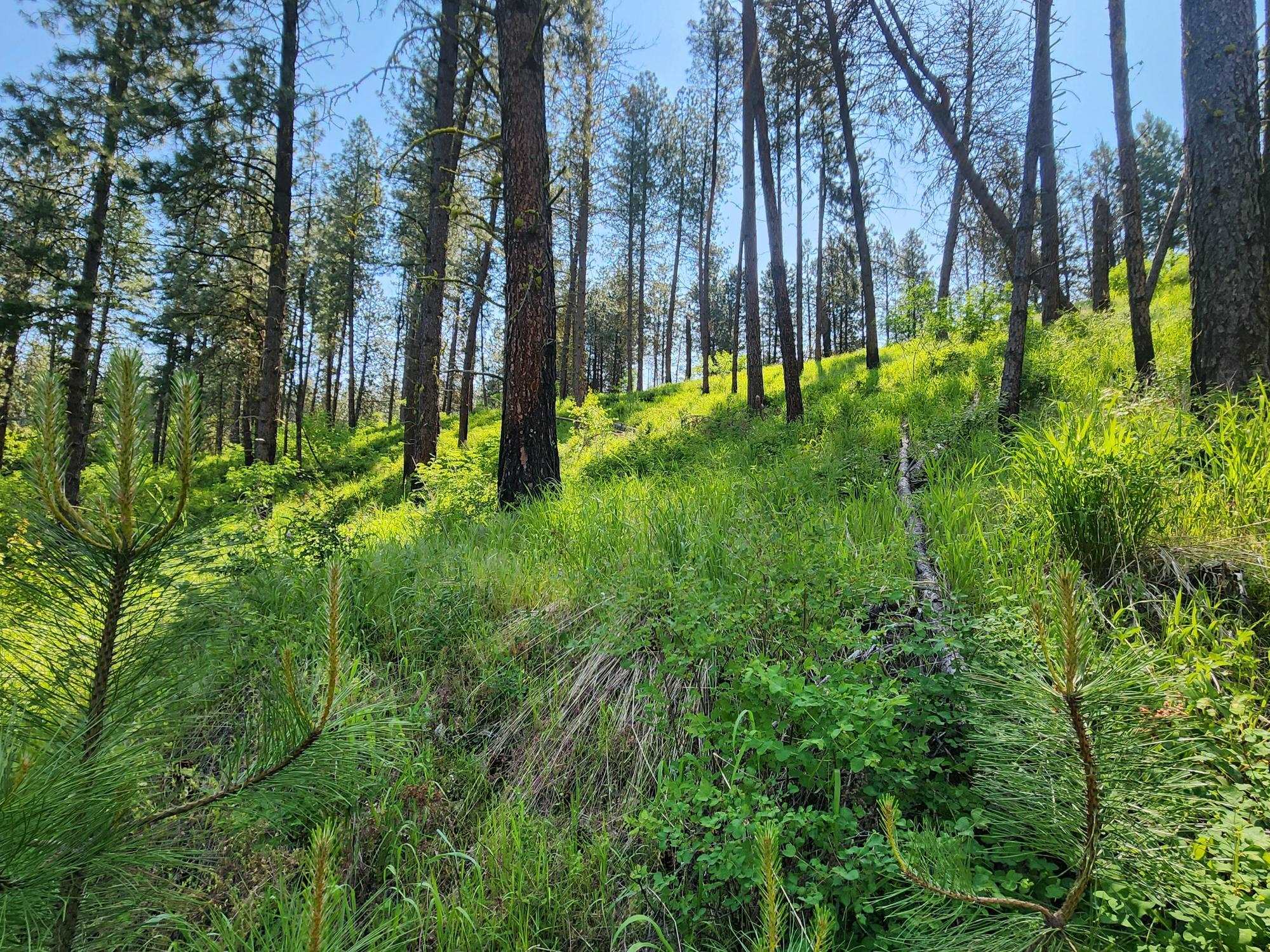 xxx Hall Creek Rd - Photo 15
