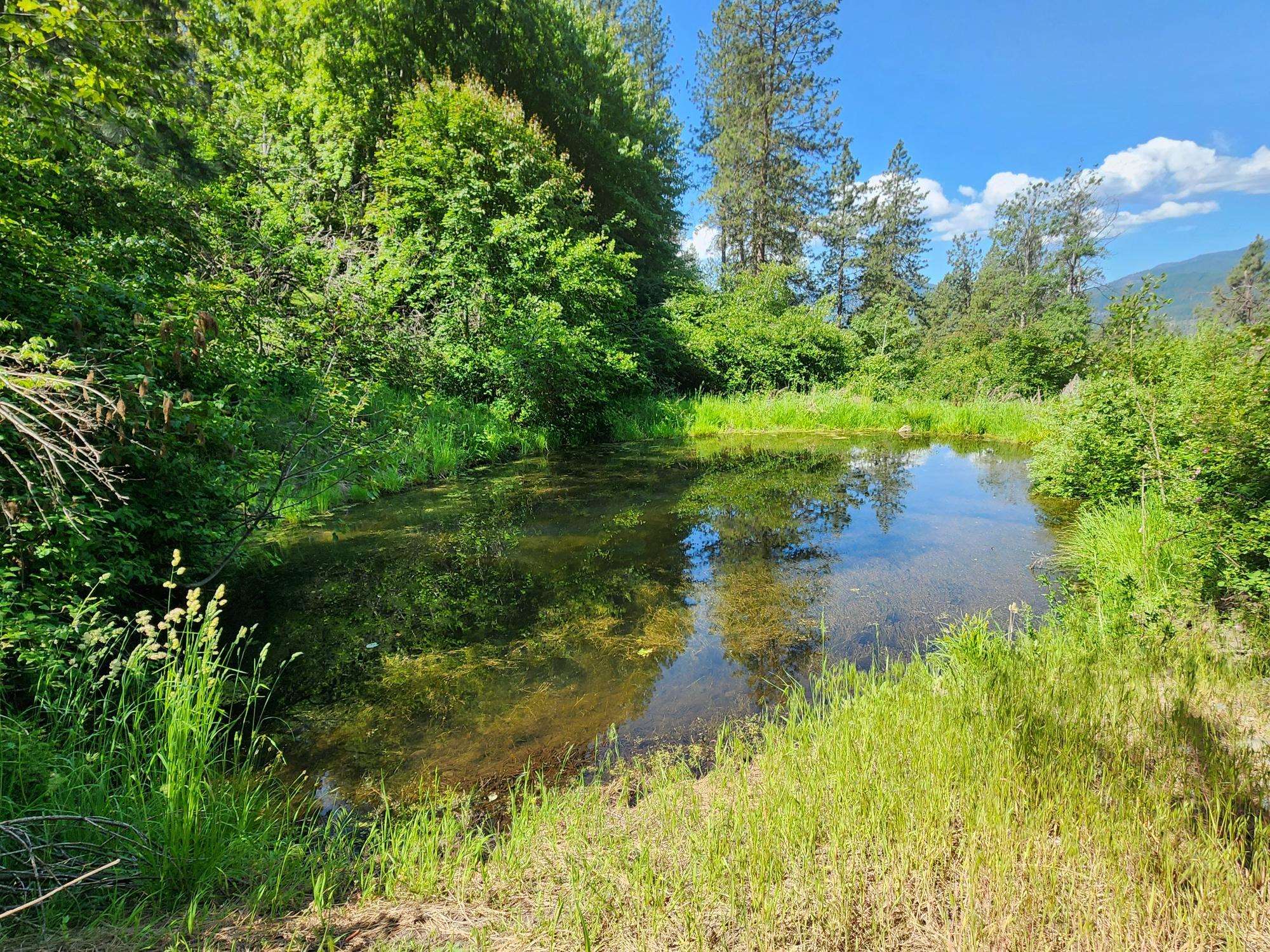 xxx Hall Creek Rd - Photo 17