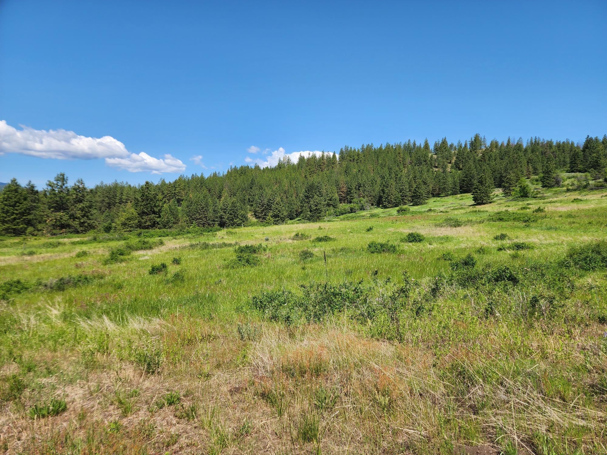 xxx Hall Creek Rd - Photo 18