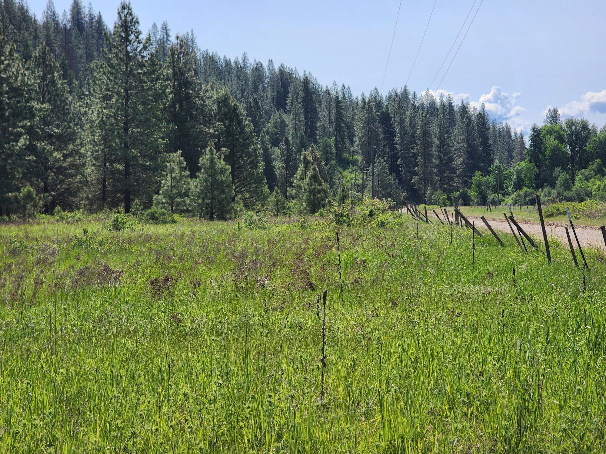 xxx Hall Creek Rd - Photo 19