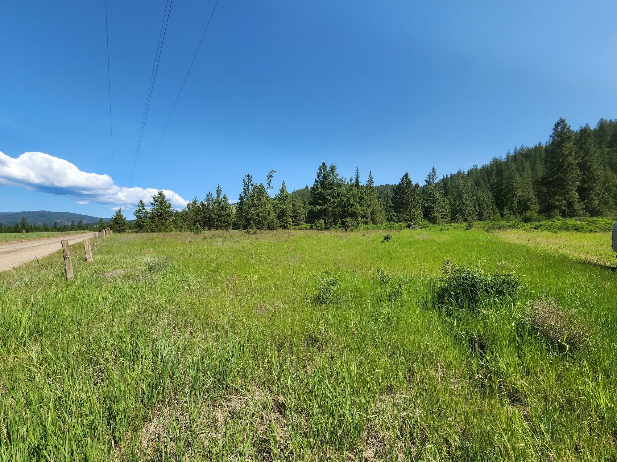 xxx Hall Creek Rd - Photo 22
