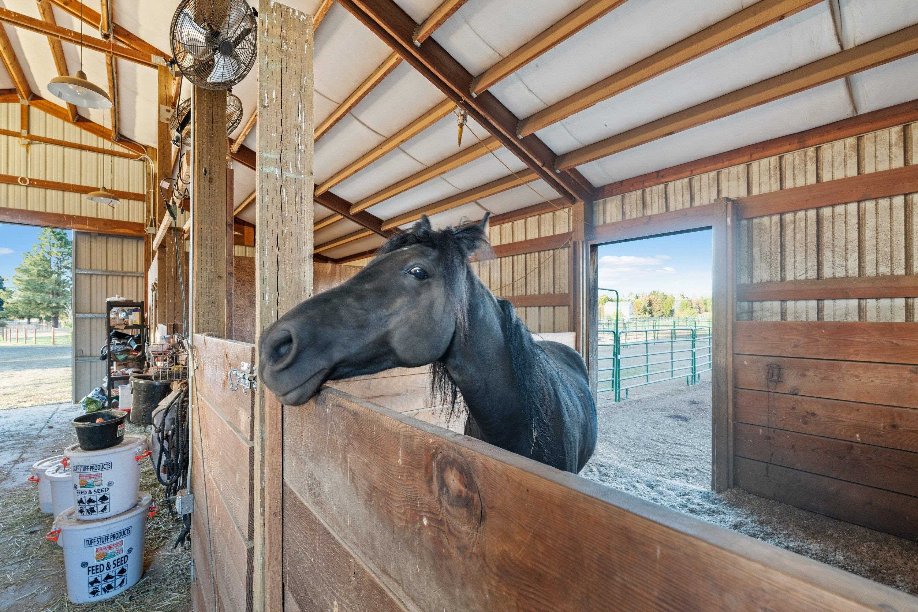 1029 W Crestview Rd - Photo 43