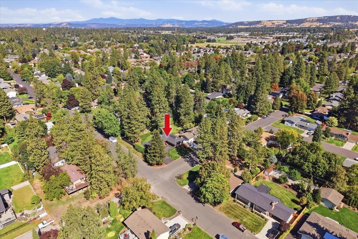 1817 E 55th Ave - Photo 38