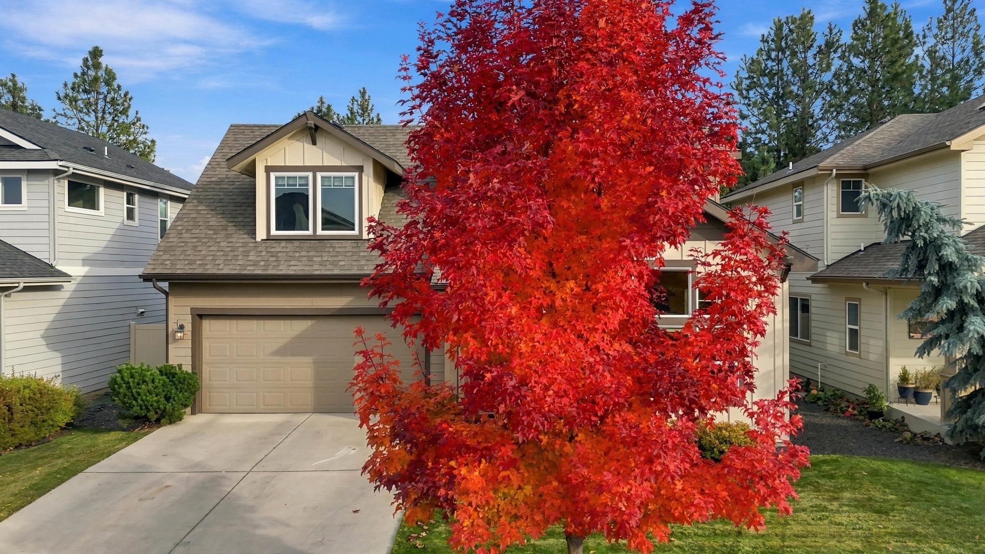 9206 N Rosebury Ln - Photo 28