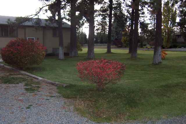 16237 N Saddlewood - Photo 6