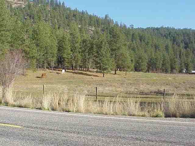 0000 Hwy 231